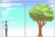 4 Formas de Medir a Altura de uma Árvore